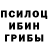 Галлюциногенные грибы Magic Shrooms Snikercny