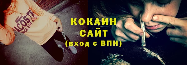 дживик Белокуриха