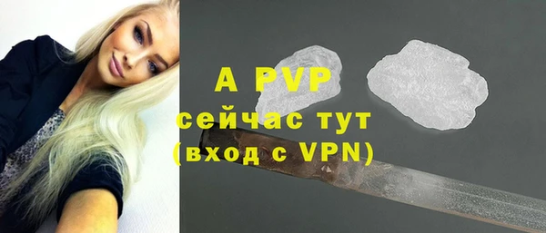 дживик Белокуриха