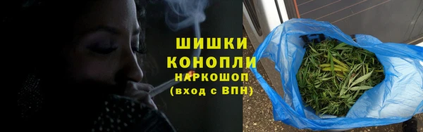 дживик Белокуриха