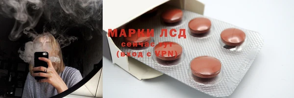 дживик Белокуриха