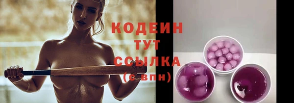 дживик Белокуриха